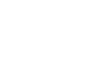 Site Services